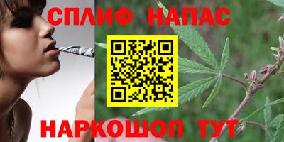 шишки Бузулук