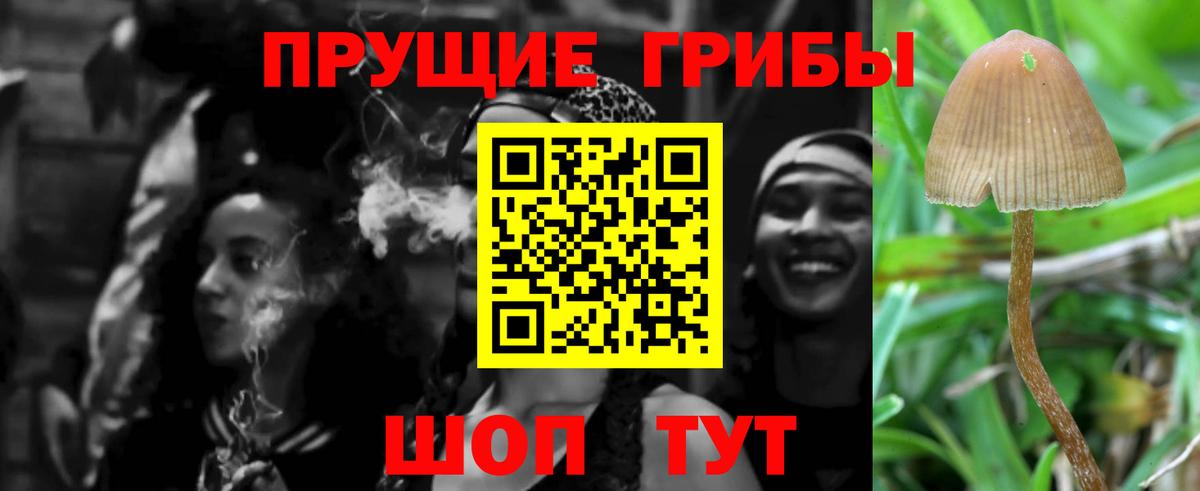 Галлюциногенные грибы GOLDEN TEACHER Коркино